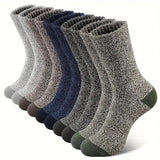 Cinq paires de chaussettes en laine mérinos, plusieurs coloris