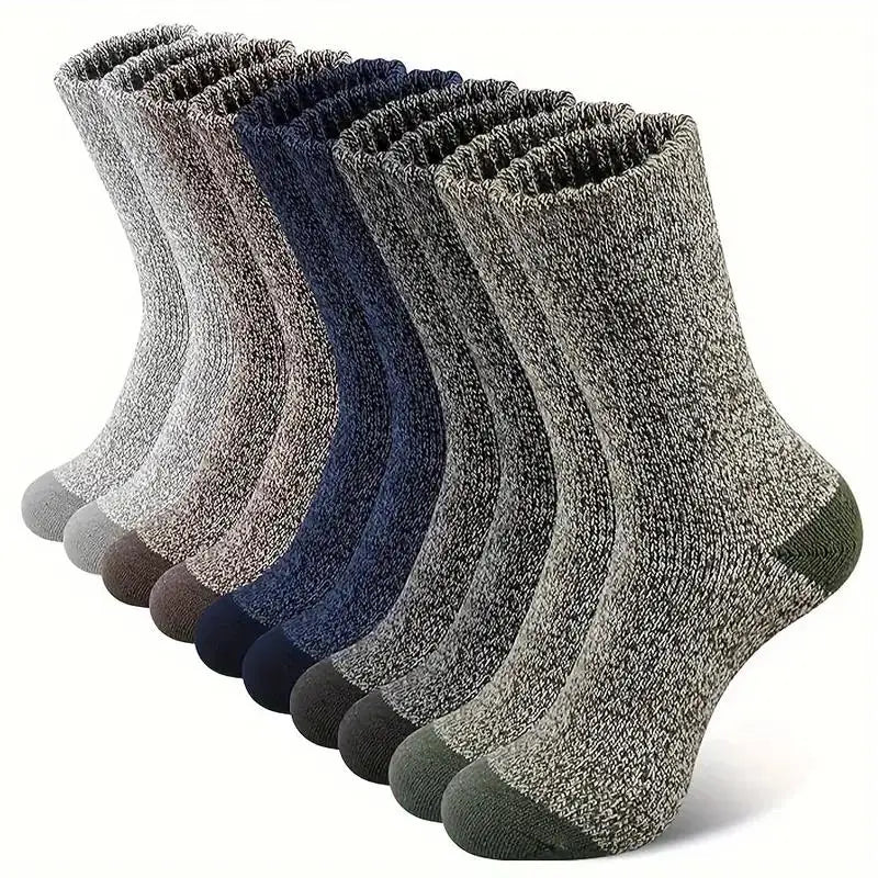 Cinq paires de chaussettes en laine mérinos, plusieurs coloris